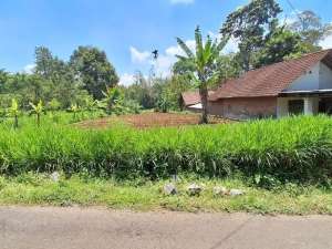 Tanah Wonorejo Lawang Malang Dijual murah cepat B.U Poll L 1.624 m2 lokasi di Malang Kab., tersedia melalui melalui situs Olx