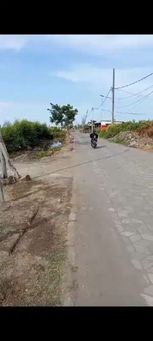 Tanah Wonorejo Surabaya lokasi di Surabaya Kota, tersedia melalui melalui situs Olx