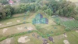 Tanah Zona Industri di Parigi, Serang - Cikande. lokasi di Serang Kab., tersedia melalui melalui situs Olx