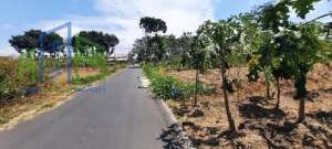 Tanah zona industri di teras boyolali lokasi di Boyolali Kab., tersedia melalui melalui situs Olx