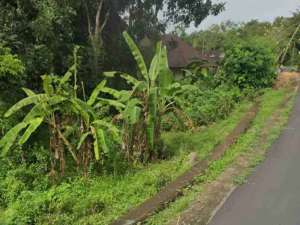 Tanah Zona Kuning View Sawah Terasering dekat Pantai Pasut Bali lokasi di Tabanan Kab., tersedia melalui melalui situs Olx