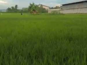 Tanah zona pabrik cocok untuk industri kecil lokasi di Bandung Kab., tersedia melalui melalui situs Olx