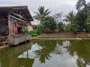 TanahRumahKolam ikan di Bernung Pesawaran Nyaman buat santaiinvest lokasi di Bandar Lampung Kota, tersedia melalui melalui situs Olx