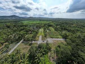 Tawangsari Pengasih, Tanah Kulon Progo, dekat SMA Negeri 1 Wates lokasi di Bantul Kab., tersedia melalui melalui situs Olx