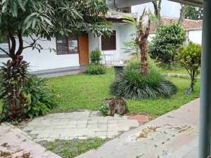 termurah rumah asri heritage sayap dago bandung utara lokasi di Bandung Kab., tersedia melalui melalui situs Olx