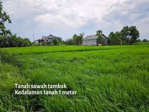 Termurah tanah nol jl raya banjarsari cerme gresik lokasi di Gresik Kab., tersedia melalui melalui situs Olx