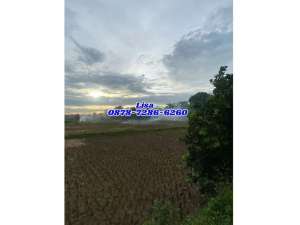 TERSISA 1 UNIT LAGI TANAH PADAT SAWAH LEGOK 935m JUAL MURAH 2 MAN NEGO lokasi di Bogor Kab., tersedia melalui melalui situs Olx