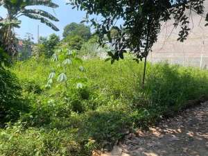 Turun Harga Jual Murah Tanah di Pasir Angin Cileungsi dari 850 jt jadi 750 jt dapat Tanah Kosong 720m2 SHM siap di Garap lokasi di Bogor Kab., tersedia melalui melalui situs Olx