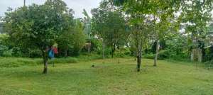 Turun Harga Jual Murah Tanah Bonus Rumah dan Gazebo lokasi di Yogyakarta Kota, tersedia melalui melalui situs Olx