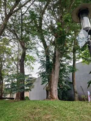 turun harga kavling di taman tirta golf bsd city hanya 9jt permeter lokasi di Tangerang Selatan Kota, tersedia melalui melalui situs Olx