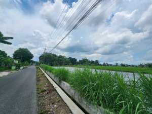 UTARA BUDI MULIA TAJEM TANAH BAGUS TEPI ASPAL lokasi di Sleman Kab., tersedia melalui melalui situs Olx