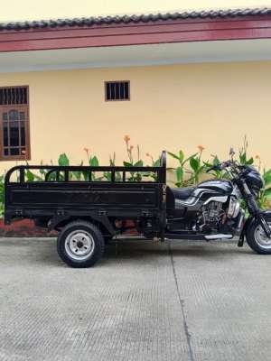 Jual bekas Viar karya 150 L NEW THN 2025,lokasi di Jakarta Barat