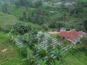 Vila - Kolam Ikan - Sungai BersihDijual Vila Dan Kolam Ikan lokasi di Purwakarta Kab., tersedia melalui melalui situs Olx