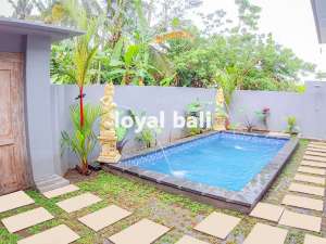 Villa, Brand New Tropical Villa in Ubud, Bali lokasi di Gianyar Kab., tersedia melalui melalui situs Olx