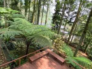 Villa Eksklusif di Puncak-Mega Indah-Bogor lokasi di Bogor Kab., tersedia melalui melalui situs Olx