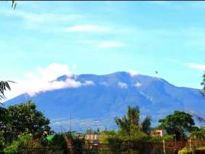 VILLA PUNCAK DI KOTA BUNGA LITTLE VENICE lokasi di Cianjur Kab., tersedia melalui melalui situs Olx