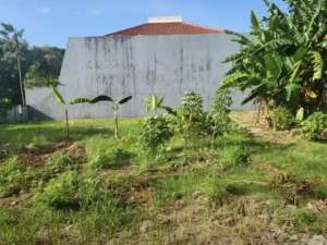 A178 Jual BU Tanah di Green Garden Sunrise Green Ville Kedoya lokasi di Jakarta Barat, tersedia melalui melalui situs Olx