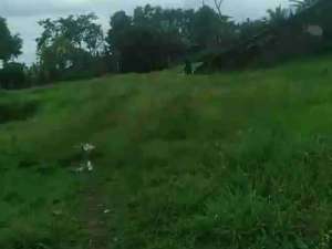 di jual lahan SHM view gunung di Cicurug Sukabumi lokasi di Sukabumi Kab., tersedia melalui melalui situs Olx