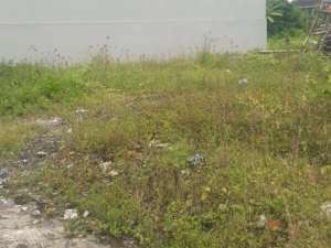 Di Jual Tanah 1 Are - Lokasi Jl. Sedap Malam, Titibatu - Denpasar lokasi di Denpasar Kota, tersedia melalui melalui situs Olx