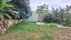 Di Jual Tanah Kavling Oasis brebes lokasi di Brebes Kab., tersedia melalui melalui situs Olx