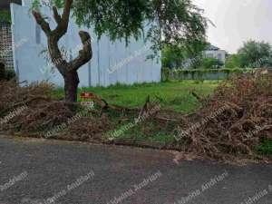Dijual Alam Sutera kavling Sutera Buana badan lokasi di Tangerang Selatan Kota, tersedia melalui melalui situs Olx