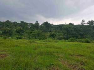 Dijual kavling Murah Taman dayu Pandaan lokasi di Pasuruan Kab., tersedia melalui melalui situs Olx