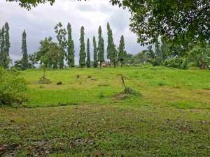 Dijual Kavling view Taman dayu Pandaan lokasi di Pasuruan Kab., tersedia melalui melalui situs Olx