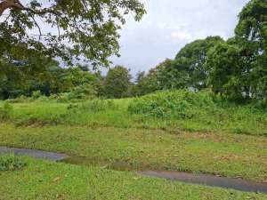 Dijual Murah kavling Taman dayu Pandaan lokasi di Pasuruan Kab., tersedia melalui melalui situs Olx