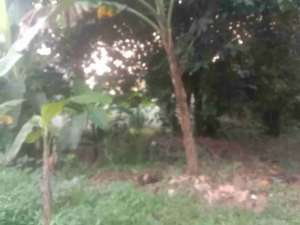 Dijual Murah Tanah Dekat Kampus UI dan Stasiun KRL Depok lokasi di Depok Kota, tersedia melalui melalui situs Olx