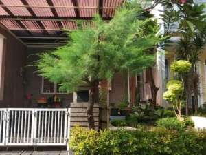 Dijual Rumah Nirwana Garden Kelapa Gading Jakarta Utara lokasi di Jakarta Utara, tersedia melalui melalui situs Olx