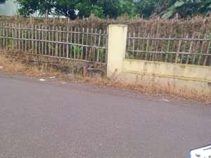 Dijual Tanah Dekat Dekat Mesjid dan Dekat Gerbang Tol Subang Kota lokasi di Subang Kab., tersedia melalui melalui situs Olx