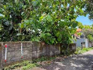 Dijual Tanah di Bukit Hijau Jimbaran Bali Dekat Kampus Unud dan PNB lokasi di Kab. Badung, tersedia melalui melalui situs Olx