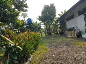 Dijual tanah di desa Dangdang Cisauk Tangerang lokasi di Tangerang Kab., tersedia melalui melalui situs Olx