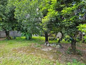 Dijual Tanah Di Jalan Raya Cipayung Jakarta Timur lokasi di Jakarta Timur, tersedia melalui melalui situs Olx