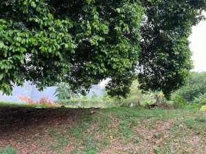 Dijual Tanah di Pondok Indah, Jakarta Selatan Luas 660 m lokasi di Jakarta Selatan, tersedia melalui melalui situs Olx