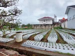 Dijual Tanah Kavling Lokasi Sejuk di Graha Puspa Lembang Bandung lokasi di Bandung Barat Kab., tersedia melalui melalui situs Olx