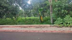 Dijual tanah kebun SHM tanpa perantara lokasi di Semarang Kota, tersedia melalui melalui situs Olx