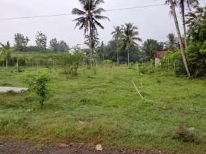 Dijual Tanah kosong lokasi di Cilacap Kab., tersedia melalui melalui situs Olx