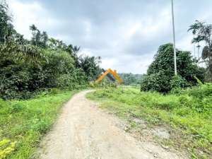 Dijual Tanah Luas 60 Hektar di Jalan Sembahe Namorambe lokasi di Deli Serdang Kab., tersedia melalui melalui situs Olx