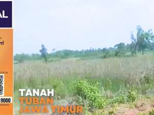Dijual Tanah Luas di TubanCocok untuk Kawasan Industri - The EdGe lokasi di Tuban Kab., tersedia melalui melalui situs Olx