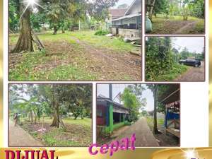 DIJUAL TANAH MURAHKAVLING 3000m di Cisauk Tangerang - AR lokasi di Tangerang Kab., tersedia melalui melalui situs Olx