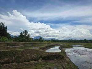 Dijual tanah murah view gunung sawah dan laut di tabanan bali lokasi di Tabanan Kab., tersedia melalui melalui situs Olx