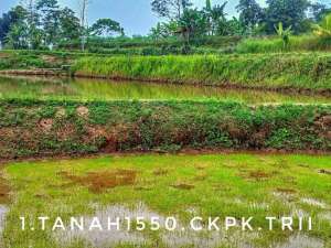 Dijual tanah sawah terasering luas subur pinggir jalan strategis lingkungan masih asri hijau lokasi di Sukabumi Kab., tersedia melalui melalui situs Olx