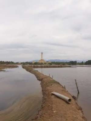Dijual Tanah TambakKolam Ikan lokasi di Aceh Utara Kab., tersedia melalui melalui situs Olx