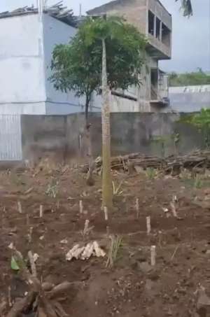 Dijual tanah , Tengah Kota Magelang lokasi di Magelang Kota, tersedia melalui melalui situs Olx