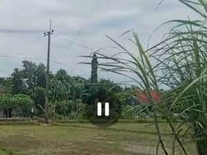 Dijual tanah untuk usaha, perumahan nol jalan Mojowarno, Jombang lokasi di Jombang  Kab., tersedia melalui melalui situs Olx