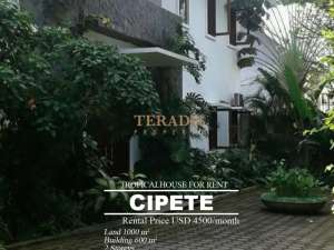 DISEWAKAN RUMAH LUAS DAERAH CIPETE DENGAN KOLAM RENANG lokasi di Jakarta Selatan, tersedia melalui melalui situs Olx