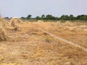Disewakan Tanah Lingkar Timur lokasi di Sidoarjo  Kab., tersedia melalui melalui situs Olx