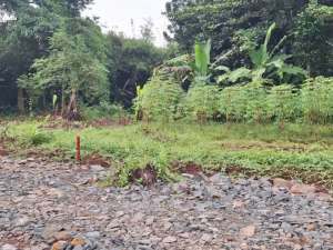 Hanya 10 Menit Pintu Tol Burangkeng, Kavling Murah 1 Juta-an Bekasi lokasi di Bekasi Kab., tersedia melalui melalui situs Olx