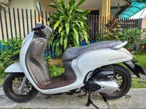 Honda Scoopy Prestige, Th 2024 lokasi di  , tersedia melalui melalui situs Olx